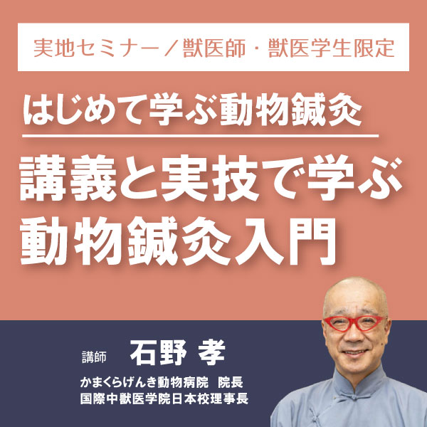 【実地セミナー】はじめて学ぶ動物鍼灸(東京会場)