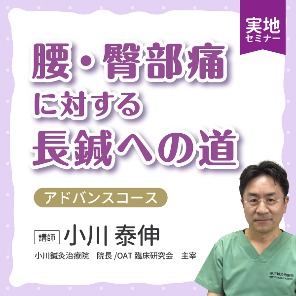 【実地セミナー】腰・臀部痛に対する長鍼への道 アドバンスコース  (東京会場)